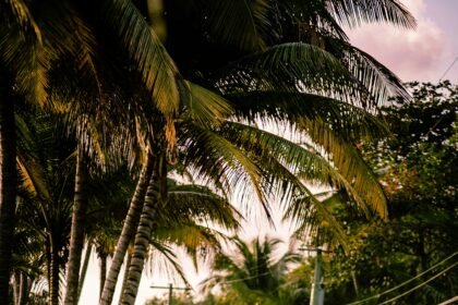 morning walk instead of coffee - people walking on outdoor path at sunrise