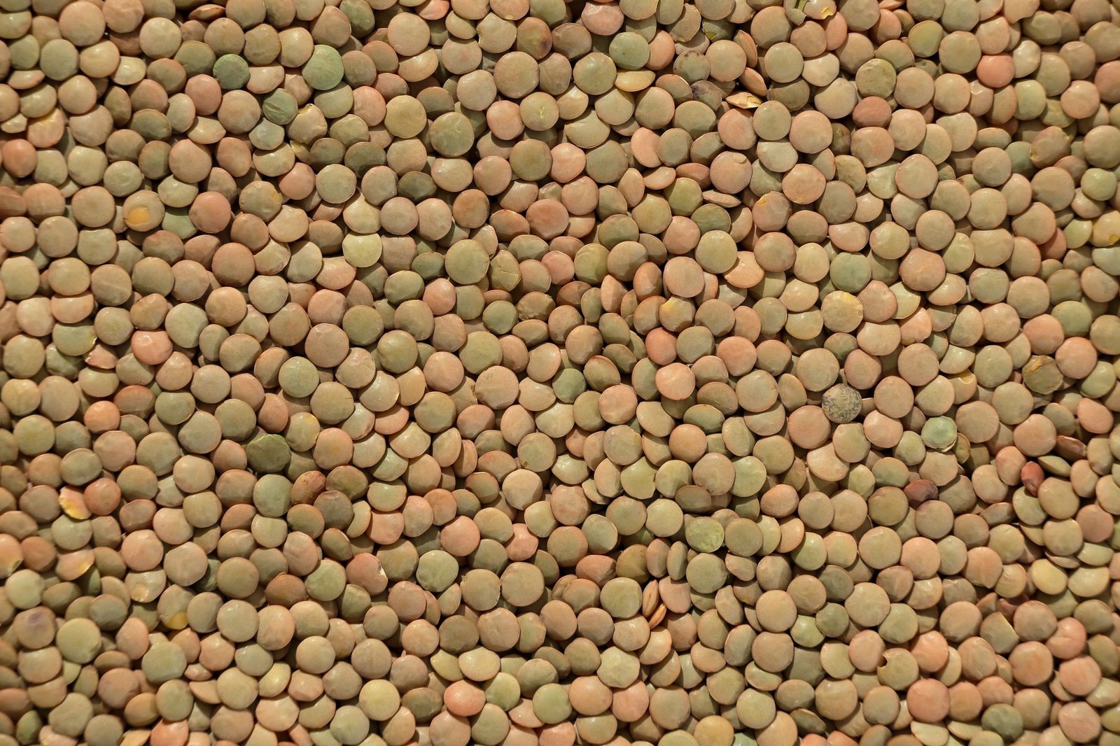 Fresh budget-friendly vegetables and dry legumes arranged neatly on a wooden kitchen counter.